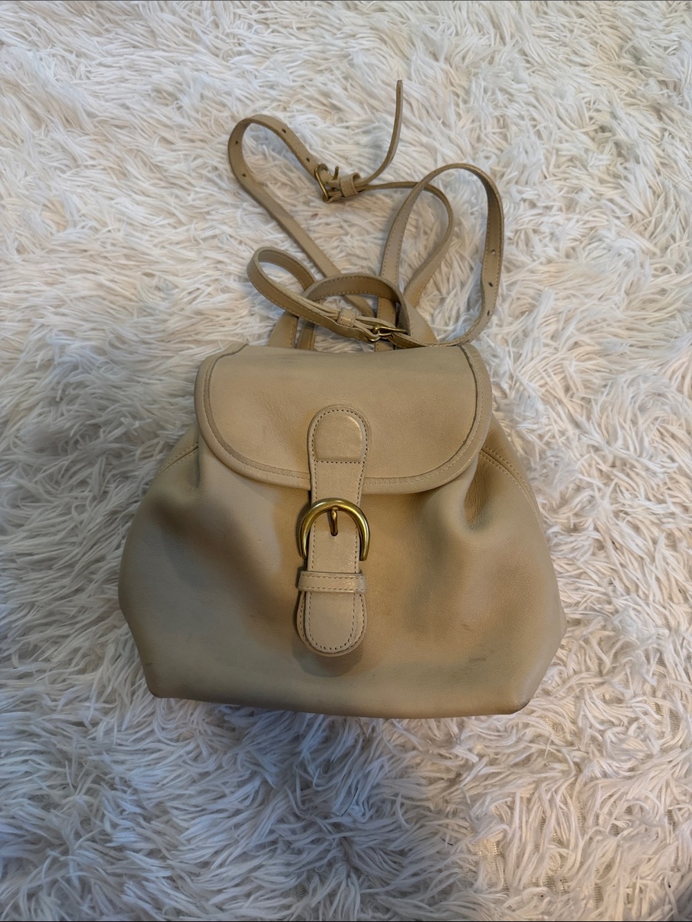 Vintage Coach Bag in Beige